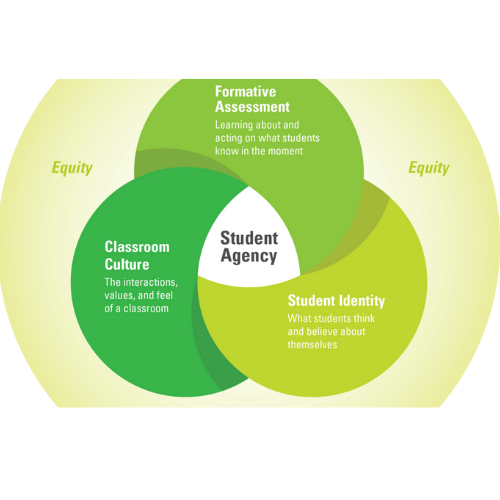 WestEd’s Formative Insights_ Assessment for Learning.png